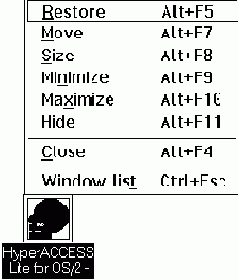   OS2 Warp
